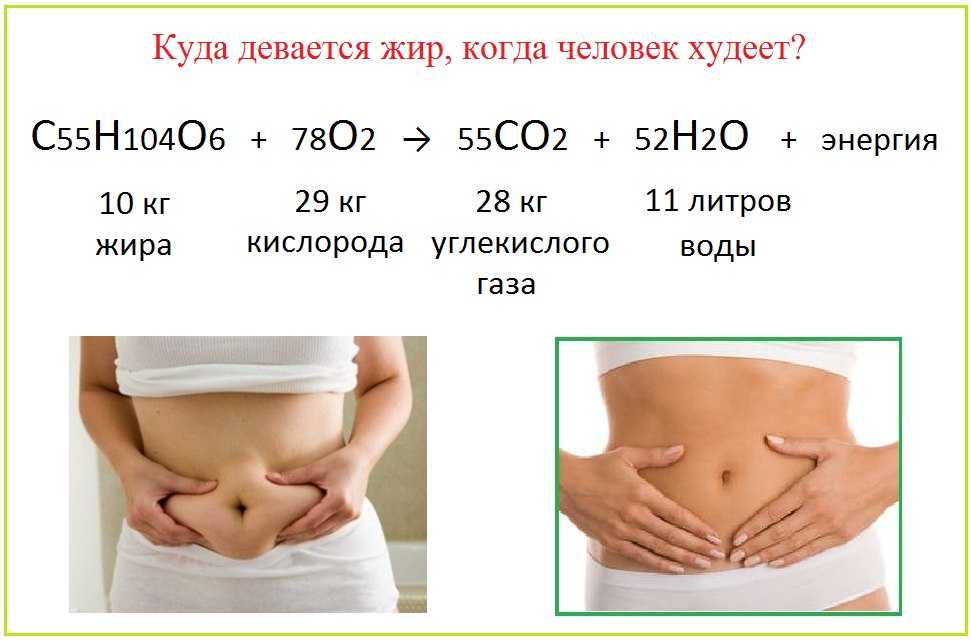 Как быстро похудеть на 5-10 килограммов в домашних условиях