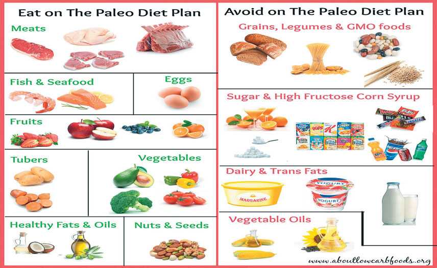 Keto vs. paleo: how do these popular diets compare?