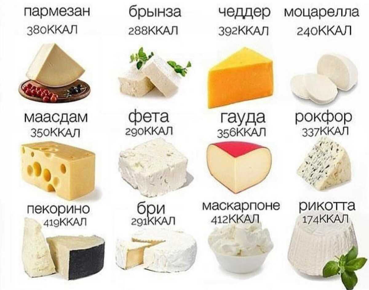 Виды сыров и их классификация