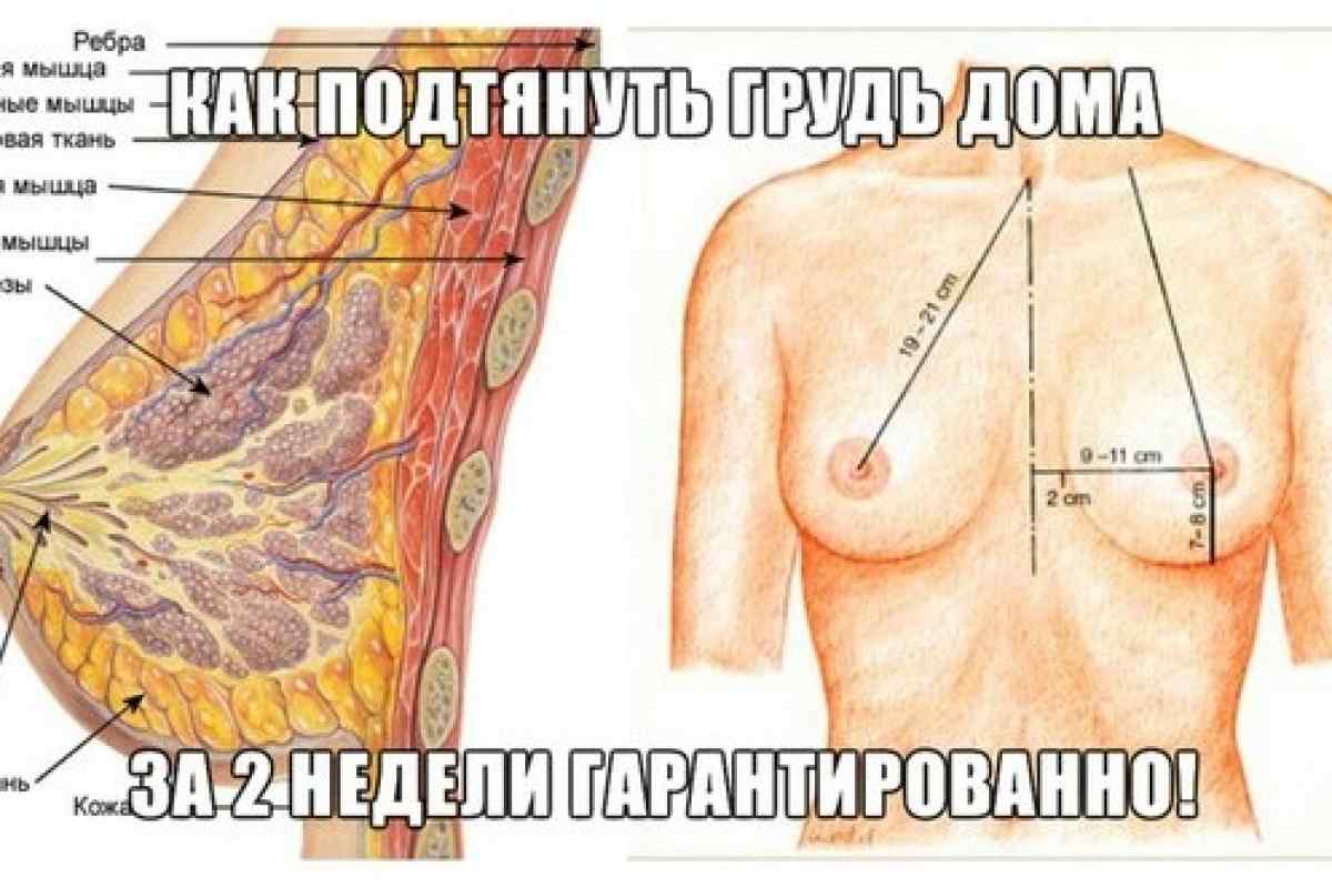 Обзор самых эффективных упражнений для подтяжки груди для женщин и девушек на 2024 год