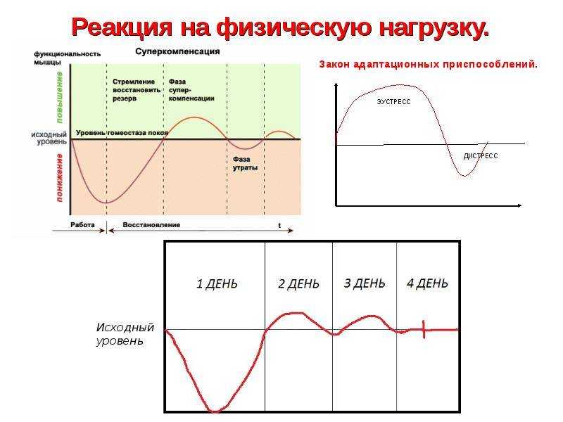 Суперкомпенсация