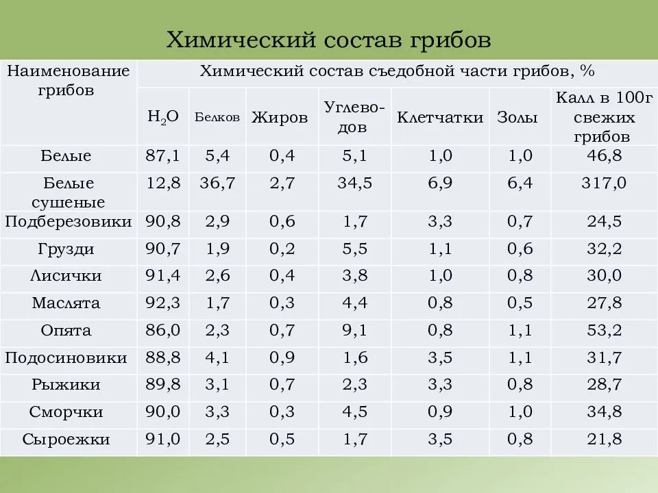 Рассказываем какие грибы принесут больше всего пользы вашему организму