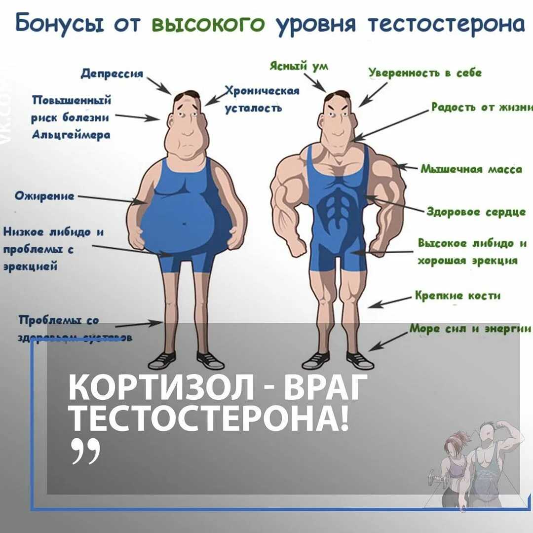 Пауэрлифтинг в смоленской области