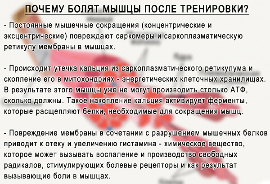 Как уменьшить боль в мышцах после тренировок? крепатура, мышечная боль после тренировки
как уменьшить боль в мышцах после тренировок? крепатура, мышечная боль после тренировки
