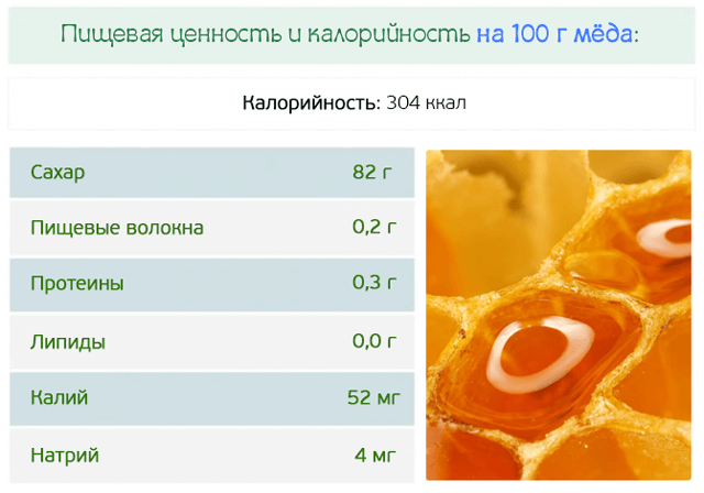 Польза меда для организма