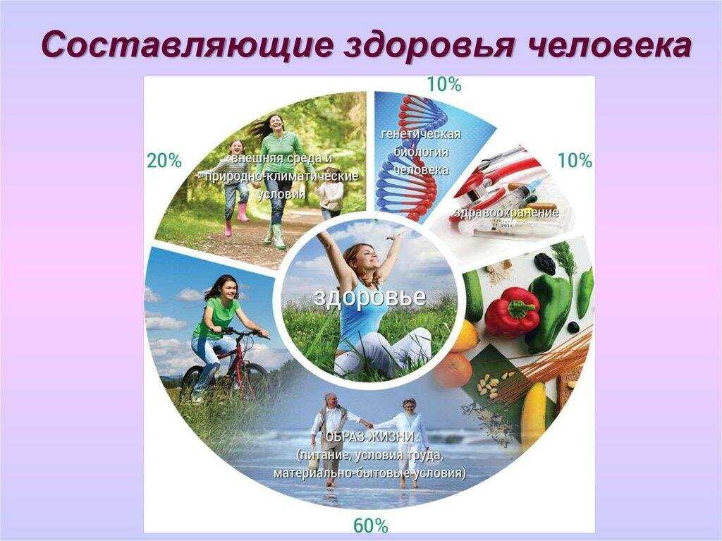 Ответы тренировочная работа №2 по русскому языку 11 класс 26 октября 2023