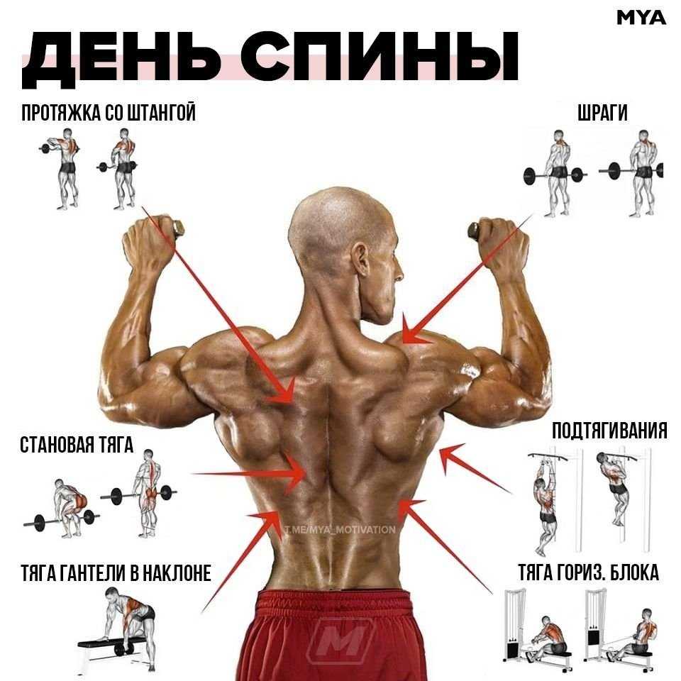 Действенные упражнения на спину для женщин в домашних условиях