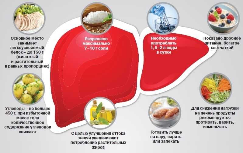 Творог: польза и вред для организма