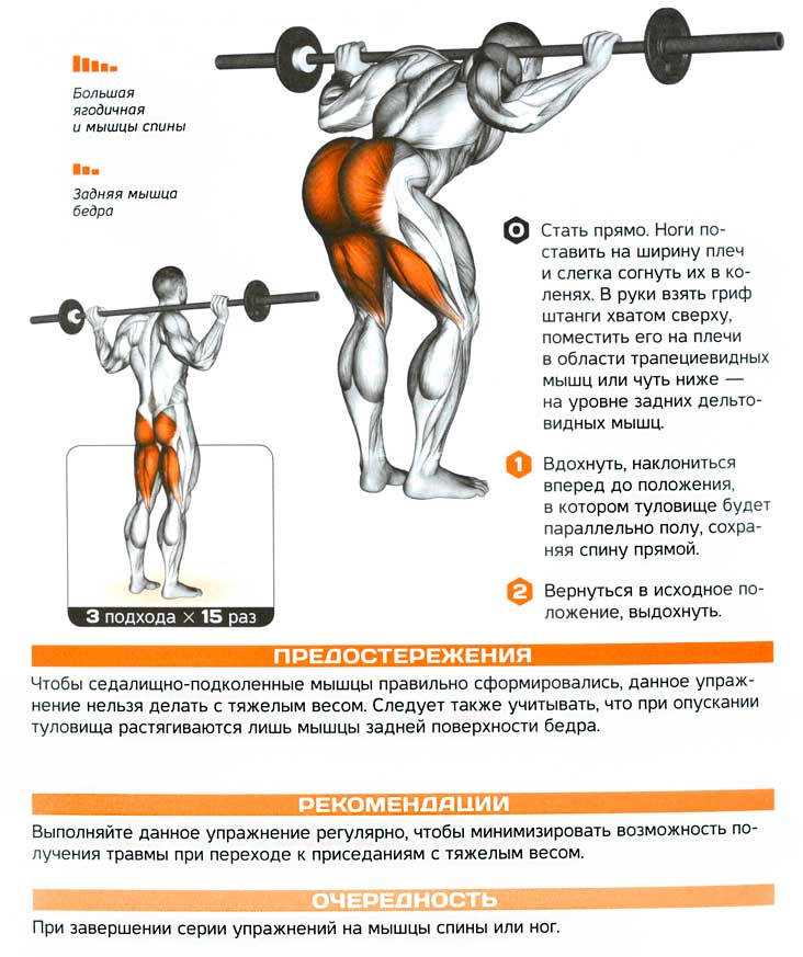 Упражнения для ягодиц в тренажерном зале