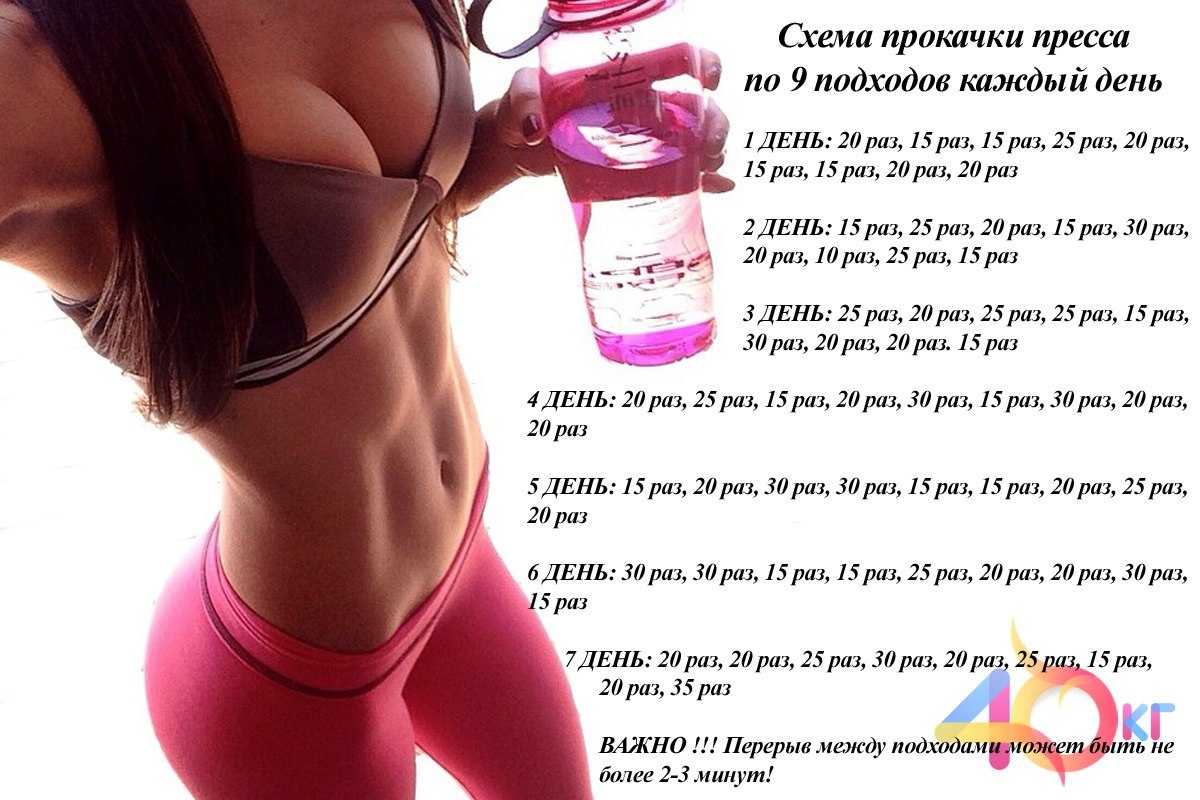 Лучшие упражнения для нижнего пресса для девушек - fitslife