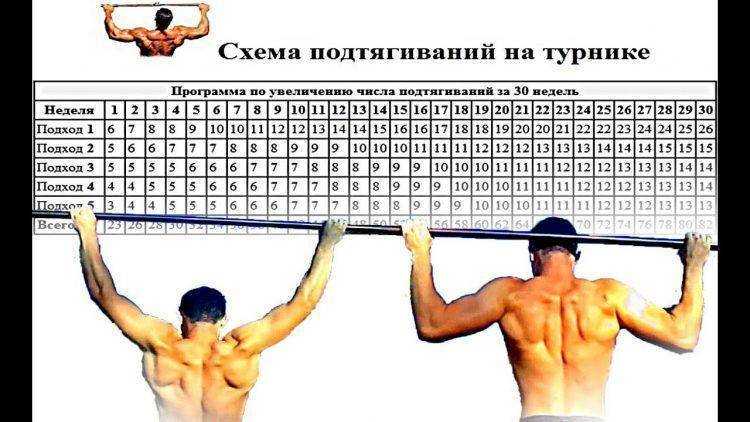Отжимания и подтягивания для всех групп мышц и виды упражнений на турнике в домашних условиях