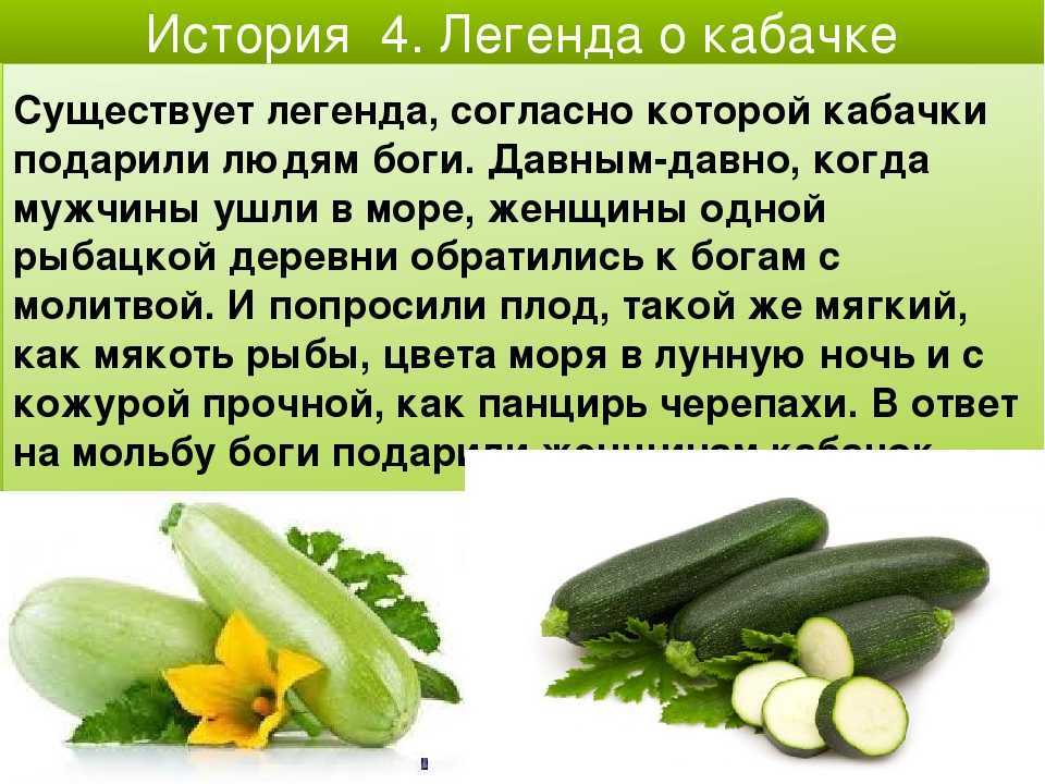 Эффективная диета на кабачках: как приготовить блюда по простым рецептам