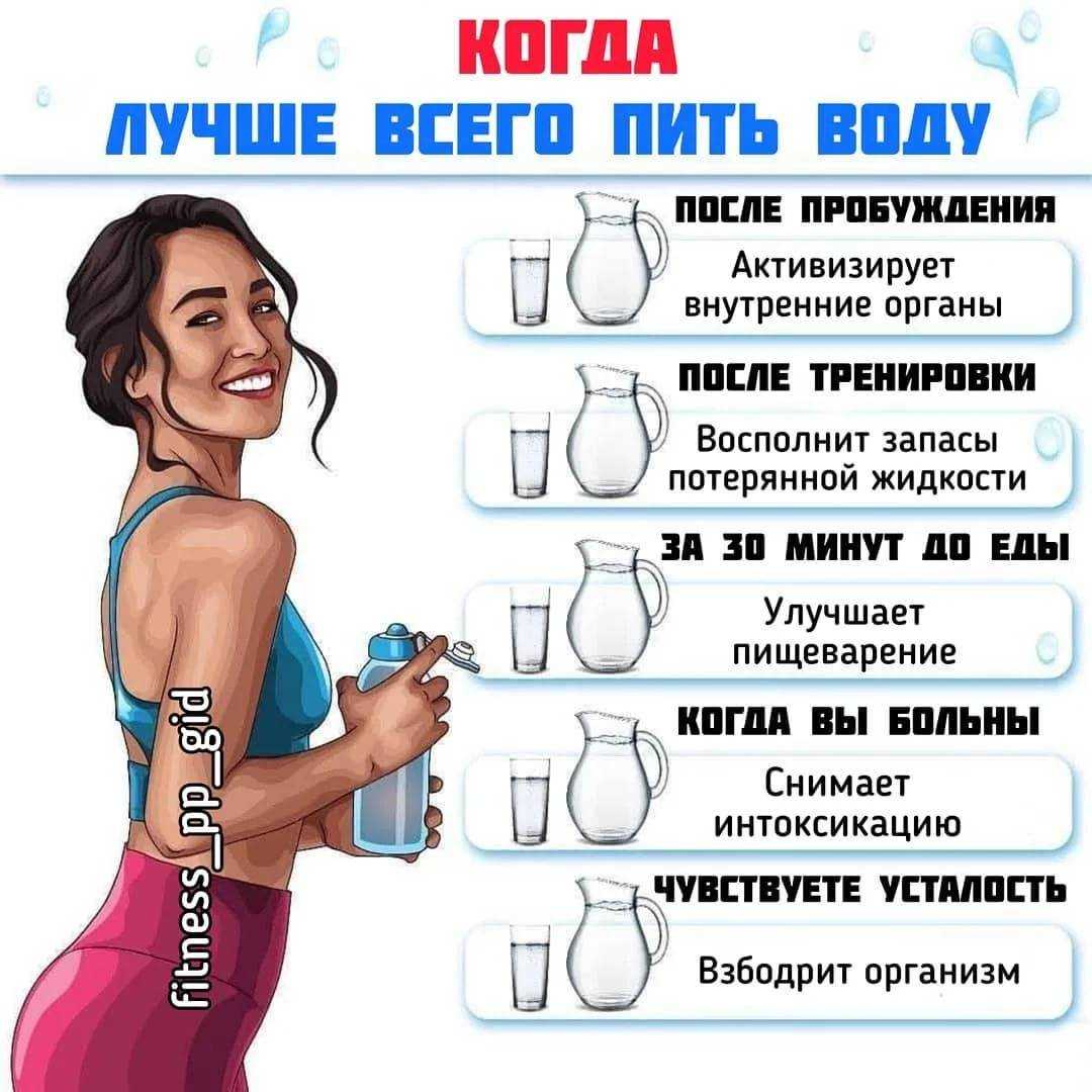 За сколько часов до занятий спортом перестать есть чтобы похудеть И обязательно ли пить воду во время тренировок