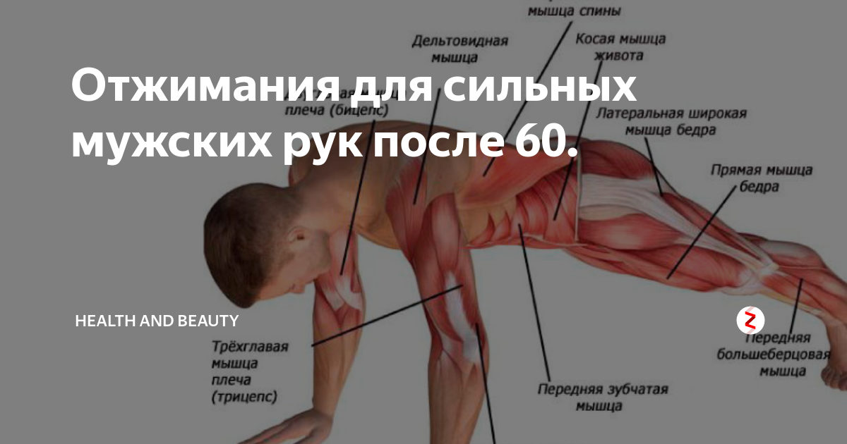 Почему при отжиманиях болят плечи? — layk sportwear на hashtap