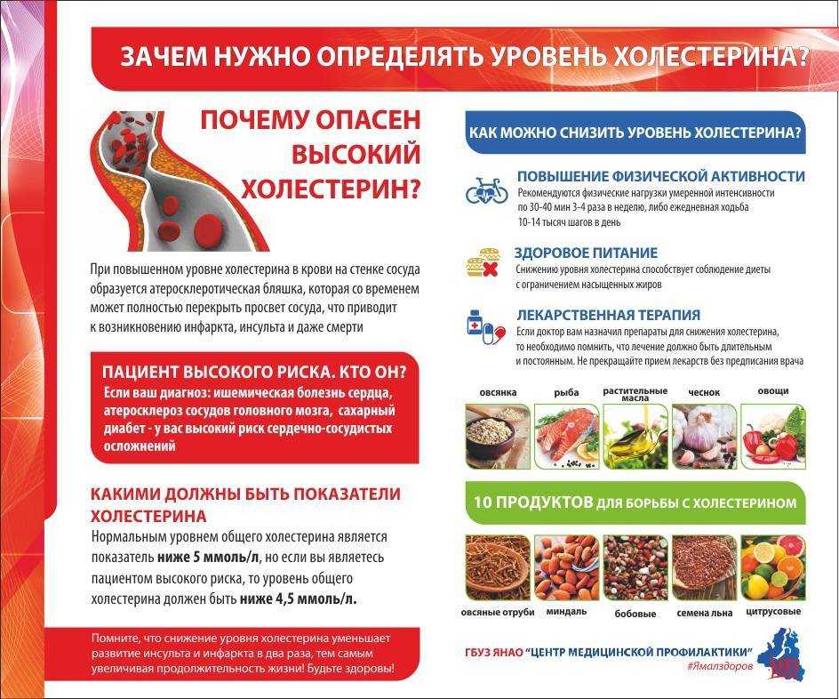 Нарушение жирового обмена или дислипидемия: лечение и профилактика