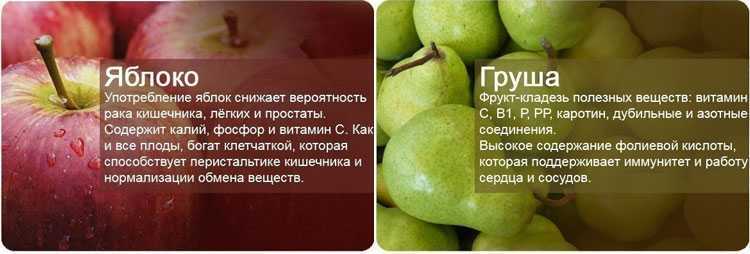 Полезные свойства яблок и в каком виде их лучше употреблять