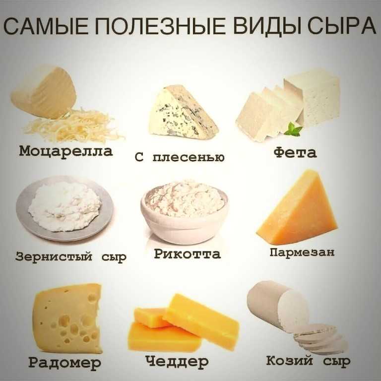 Топ 5 самых здоровых полезных вида сыра - женщина без предела