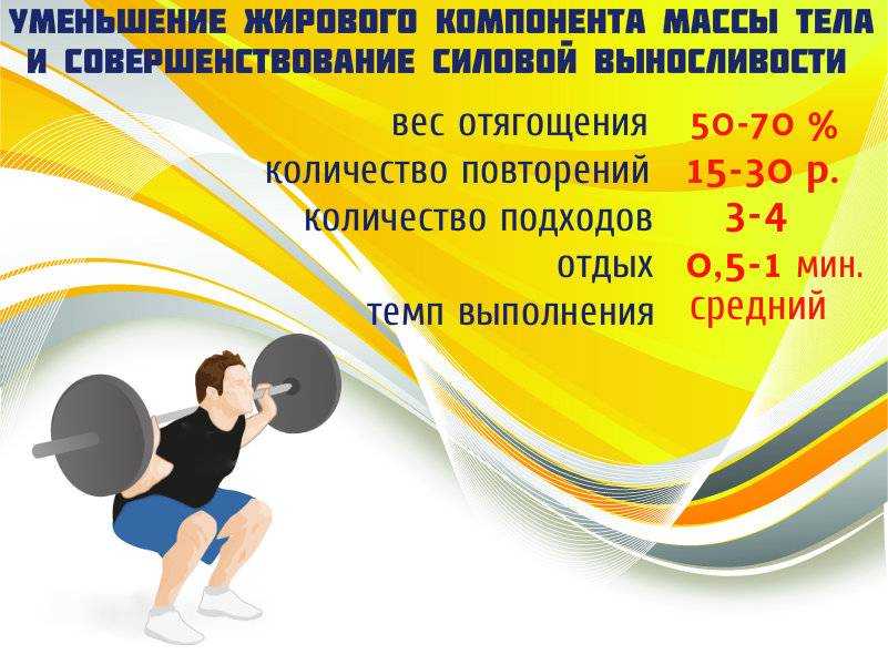 Как часто тренировать одну группу мышц: цели и задачи, периодичность - tony.ru
