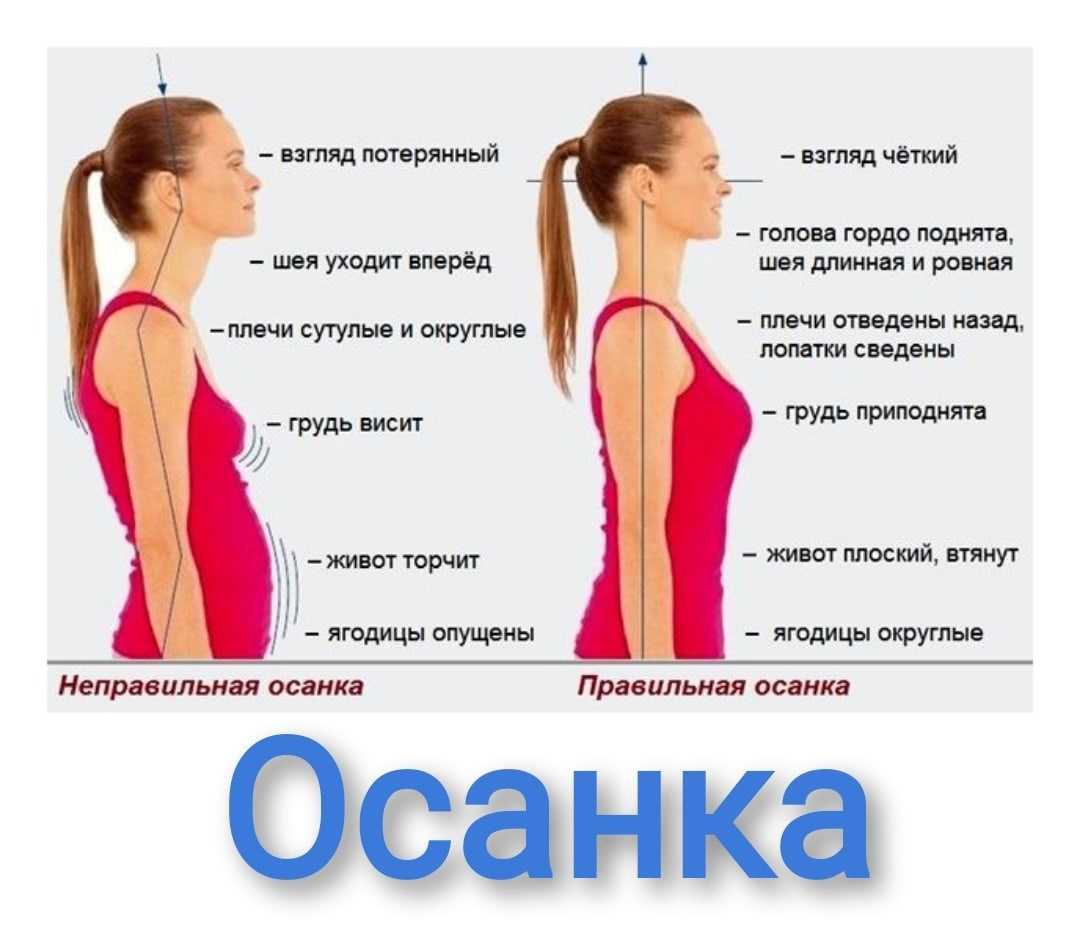 Упражнения для спины в тренажерном зале для девушек