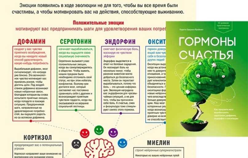 Горький шоколад – состав и калорийность, полезные свойства и вред