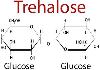 Трегалоза | lifebio.wiki