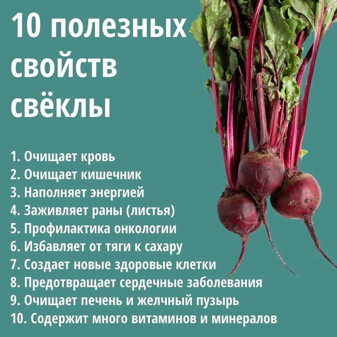 Свекла сырая: можно ли есть, польза и вред для организма
