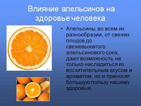 Польза апельсинов для организма, лечебные свойства и противопоказания