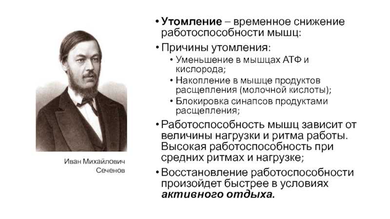 Ленивый фитнес- лучшие упражнения на диване