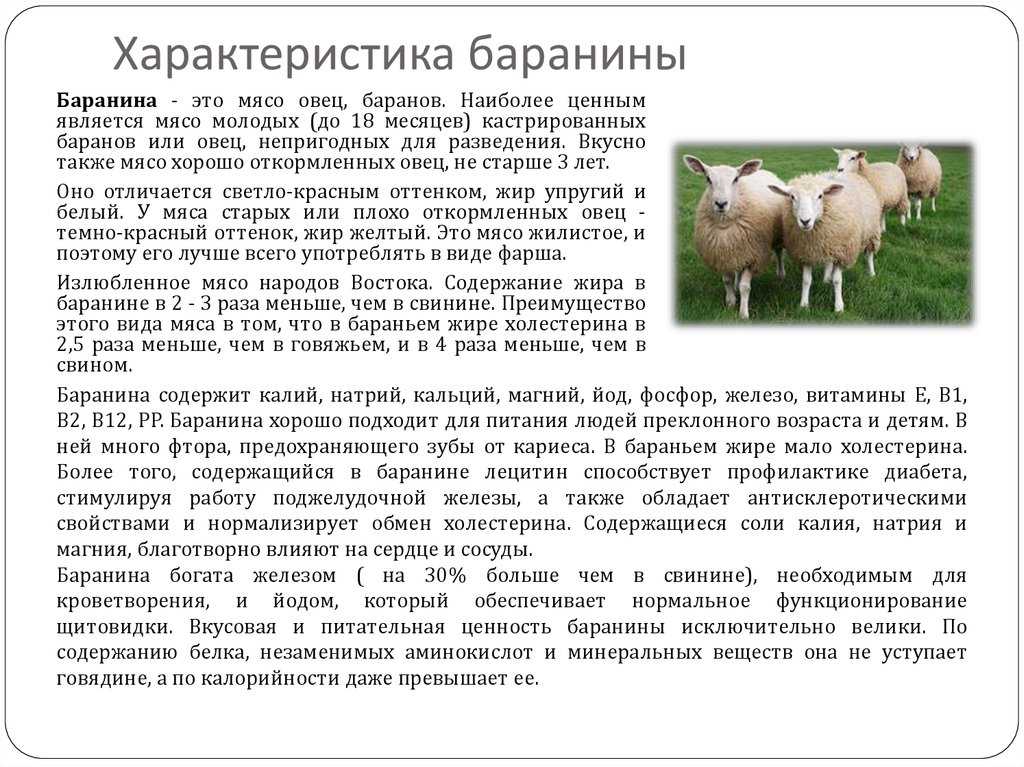 Баранина – польза и вред для организма человека. как правильно готовить?