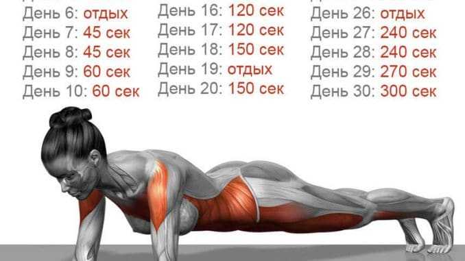 Эффективные упражнения для пресса - видео