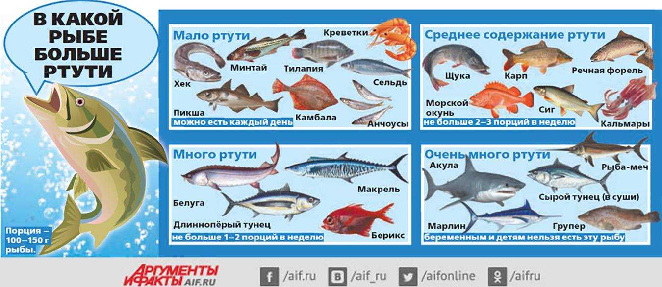 Какая белая рыба самая полезная?
