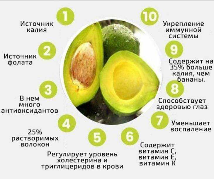 Авокадо - состав, калорийность, норма в день, польза и вред