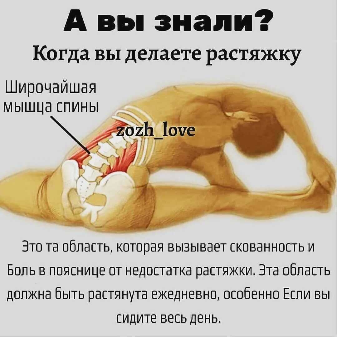 Болит поясница после тренировки - что делать спина