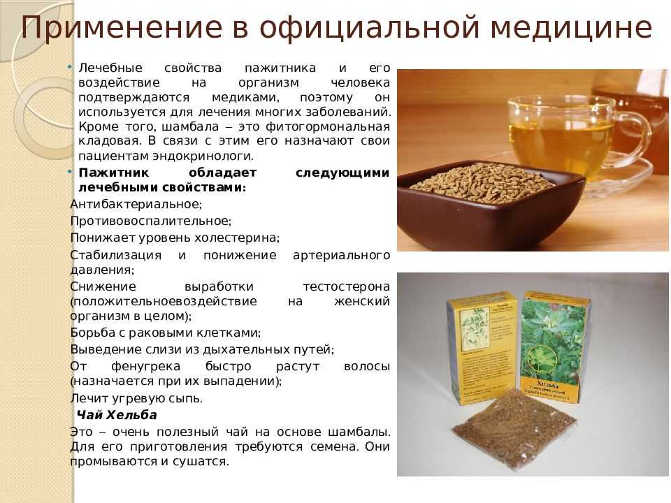 Самые полезные специи и приправы для организма человека – топ-7