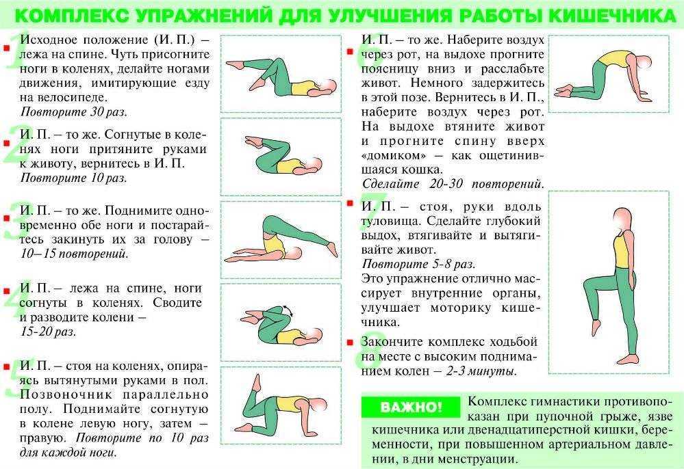 Комплекс упражнений в тренажерном зале для девушек – лучшие тренажеры для идеальной фигуры