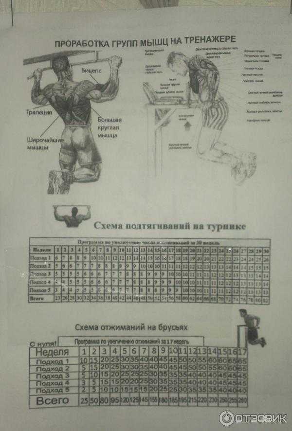 Эффективная программа подтягиваний с нуля на турнике