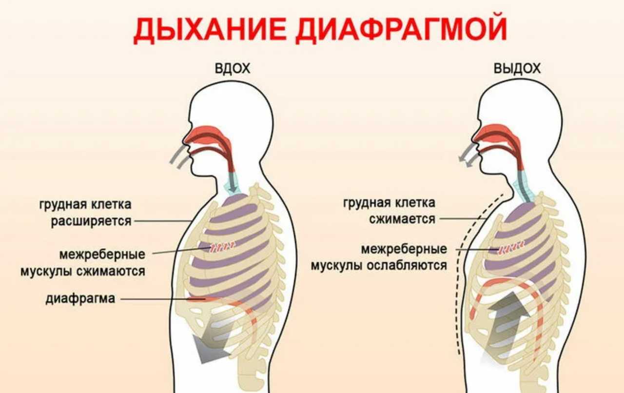 Дыхательные упражнения — полезная практика или псевдонаучная ерунда?