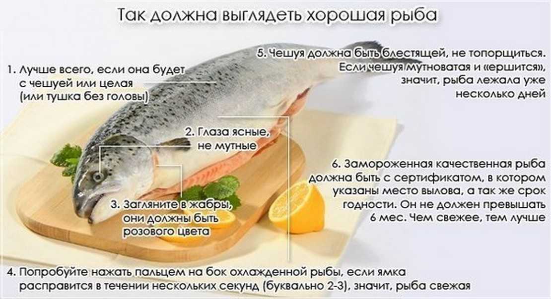 Что можно рассказать о пользе форели. за что ценят эту рыбу и кому рекомендуется включить ее в свое меню
